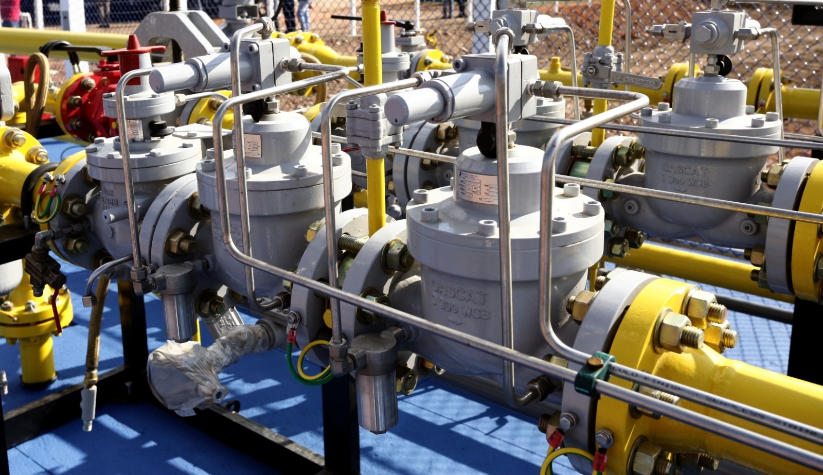 WhatsApp Image 2024 10 18 at 15.33.03